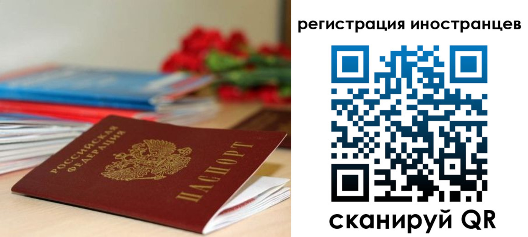 форма 3 в Архангельской области